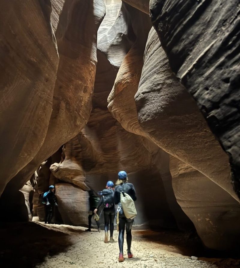 Zion9-917x1024.jpeg
